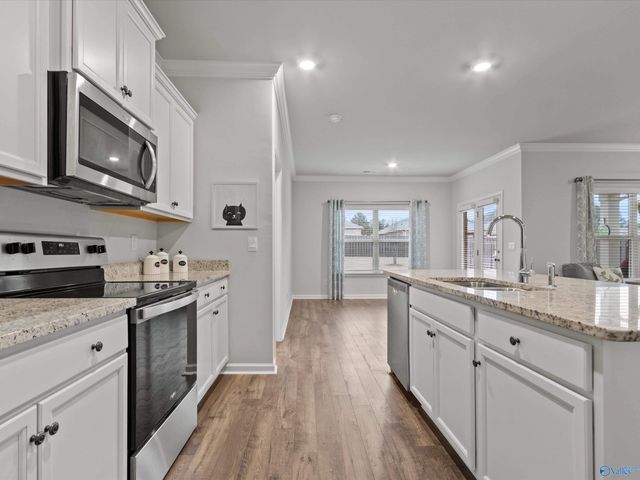 28345 Saddle Springs Drive, Madison, AL 35756