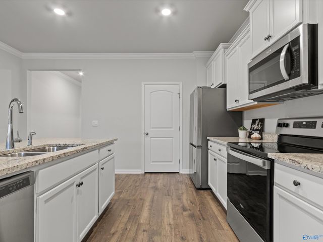 28345 Saddle Springs Drive, Madison, AL 35756