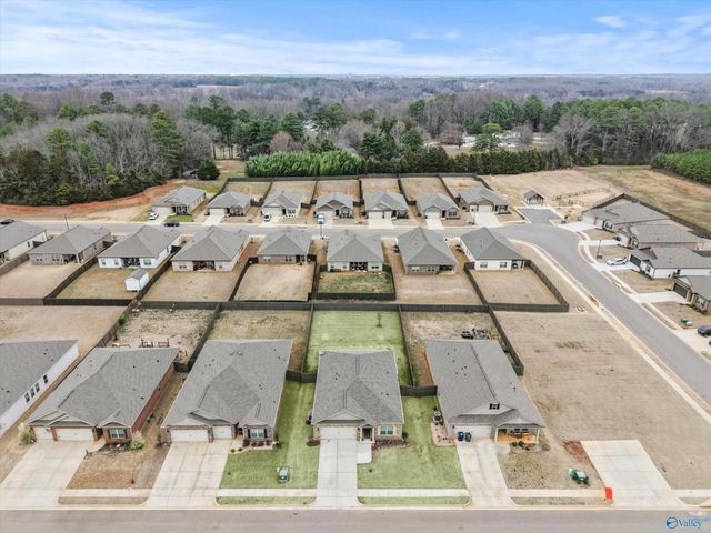 28345 Saddle Springs Drive, Madison, AL 35756