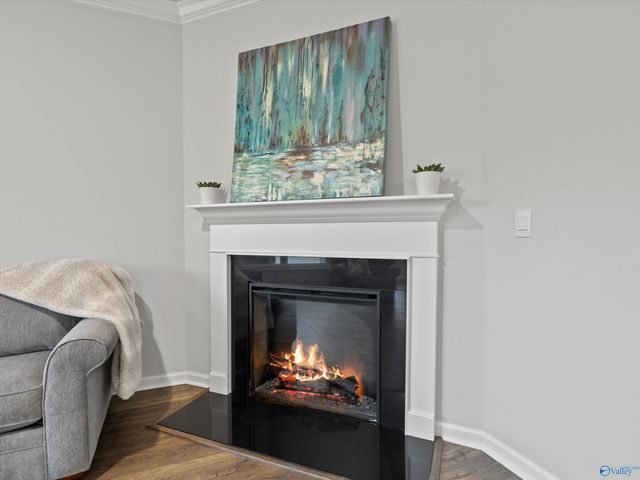 28345 Saddle Springs Drive, Madison, AL 35756