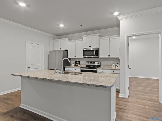 28345 Saddle Springs Drive, Madison, AL 35756