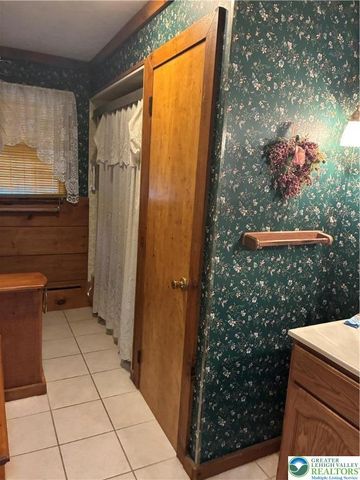 195 Bangor Junction Road, Washington Twp, PA 18013