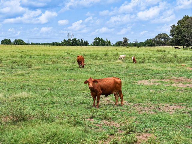 Tract 1 FM 855, Jacksonville, TX 75766