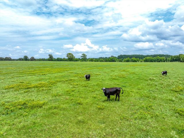 Tract 1 FM 855, Jacksonville, TX 75766