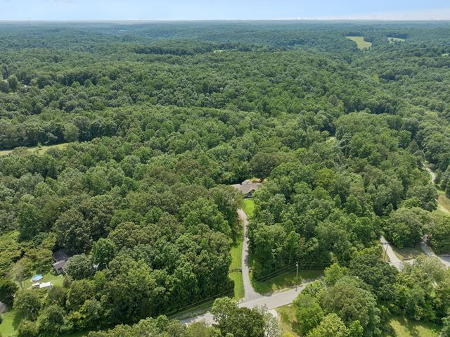 7903 Daugherty Capley Rd, Primm Springs, TN 38476