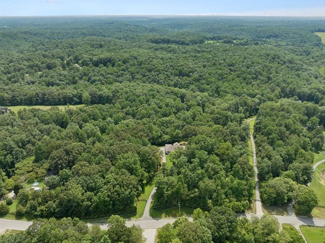 7903 Daugherty Capley Rd, Primm Springs, TN 38476