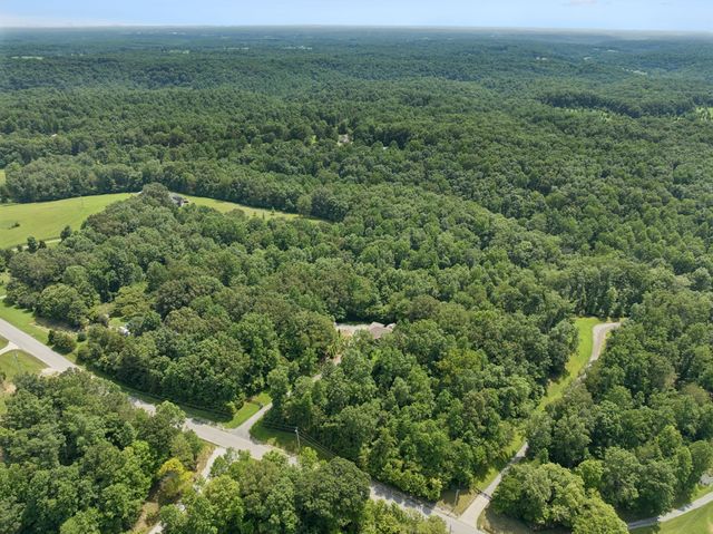 7903 Daugherty Capley Rd, Primm Springs, TN 38476