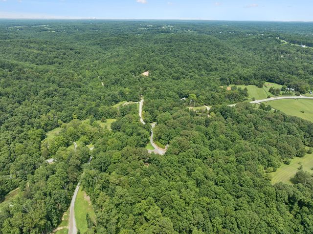 7903 Daugherty Capley Rd, Primm Springs, TN 38476