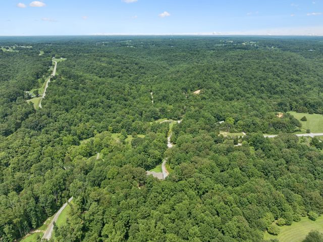 7903 Daugherty Capley Rd, Primm Springs, TN 38476