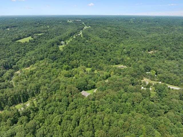 7903 Daugherty Capley Rd, Primm Springs, TN 38476