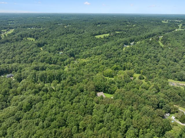 7903 Daugherty Capley Rd, Primm Springs, TN 38476