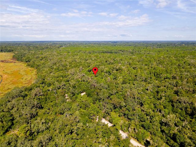 10136 E TULIPTREE DRIVE, Inverness, FL 34450