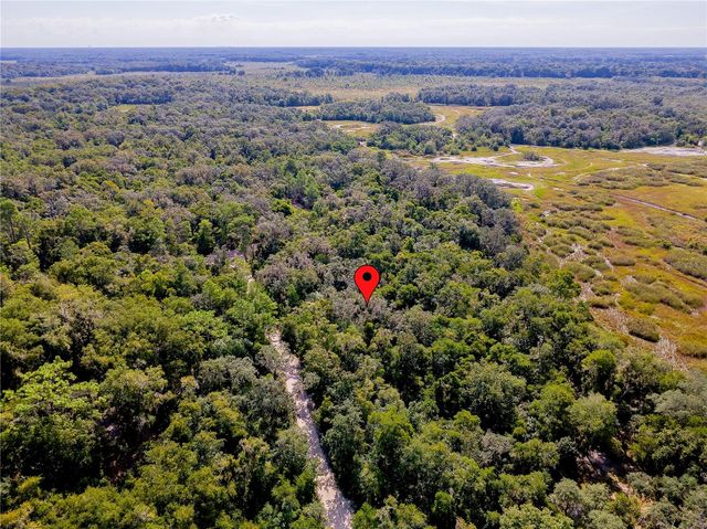 10136 E TULIPTREE DRIVE, Inverness, FL 34450