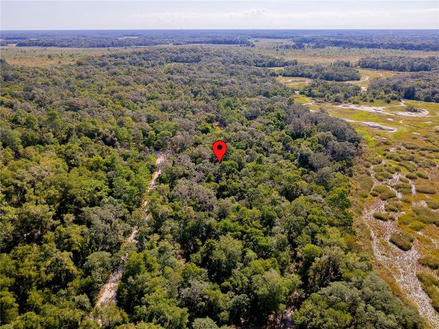 10136 E TULIPTREE DRIVE, Inverness, FL 34450