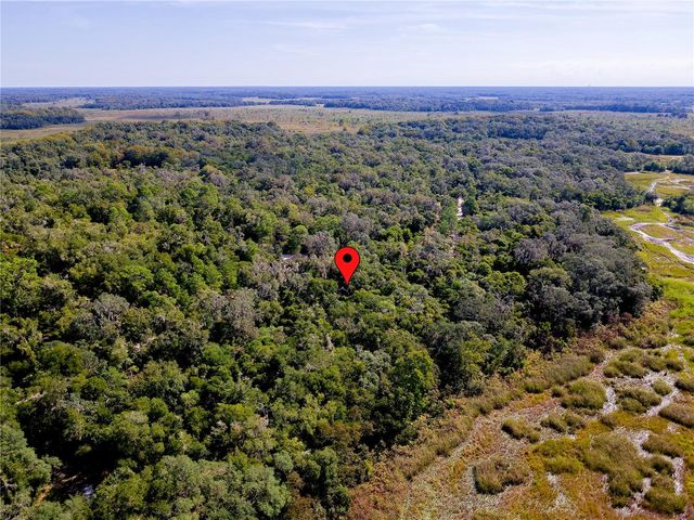 10136 E TULIPTREE DRIVE, Inverness, FL 34450
