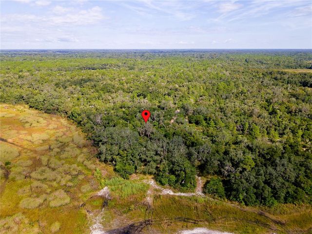 10136 E TULIPTREE DRIVE, Inverness, FL 34450