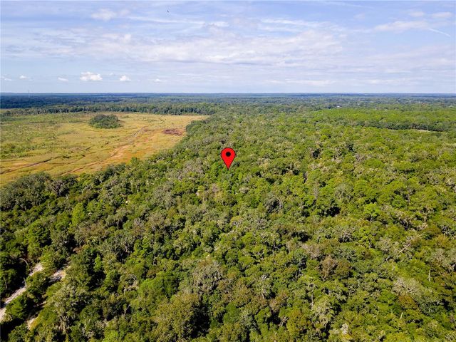 10136 E TULIPTREE DRIVE, Inverness, FL 34450