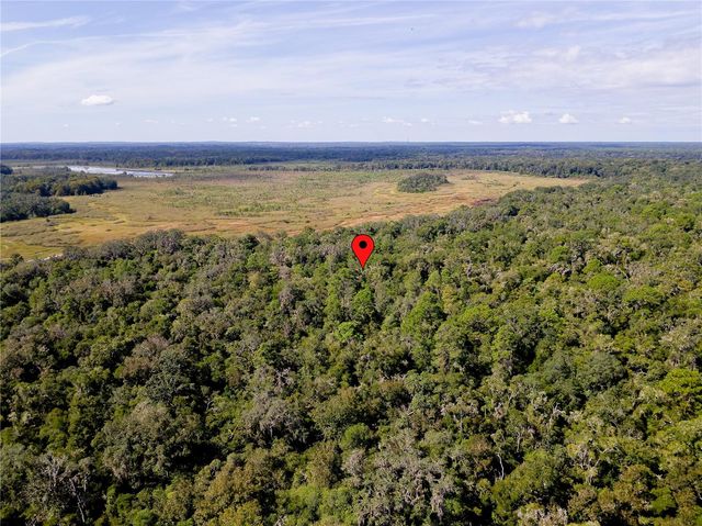 10136 E TULIPTREE DRIVE, Inverness, FL 34450
