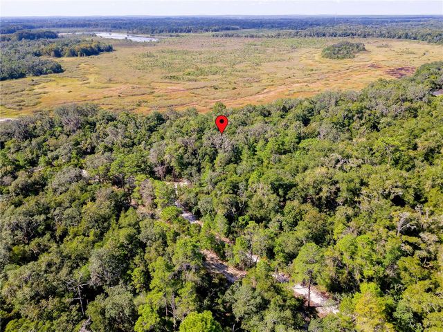 10136 E TULIPTREE DRIVE, Inverness, FL 34450