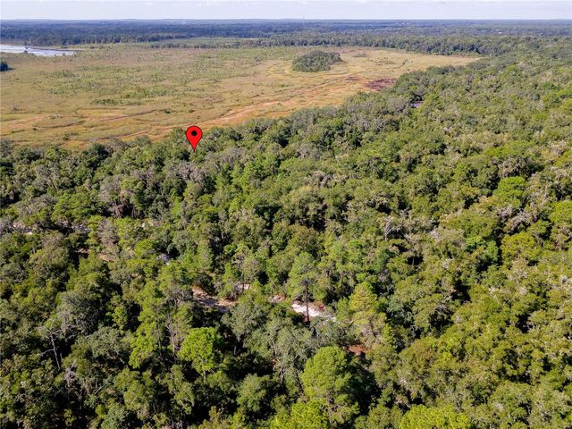10136 E TULIPTREE DRIVE, Inverness, FL 34450