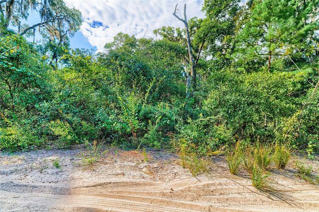 10136 E TULIPTREE DRIVE, Inverness, FL 34450
