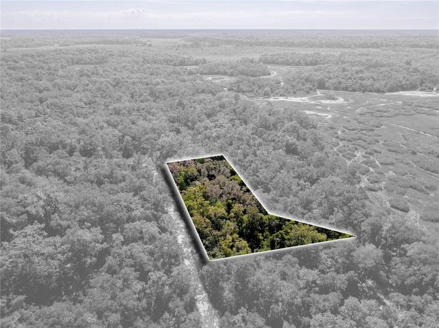 10136 E TULIPTREE DRIVE, Inverness, FL 34450