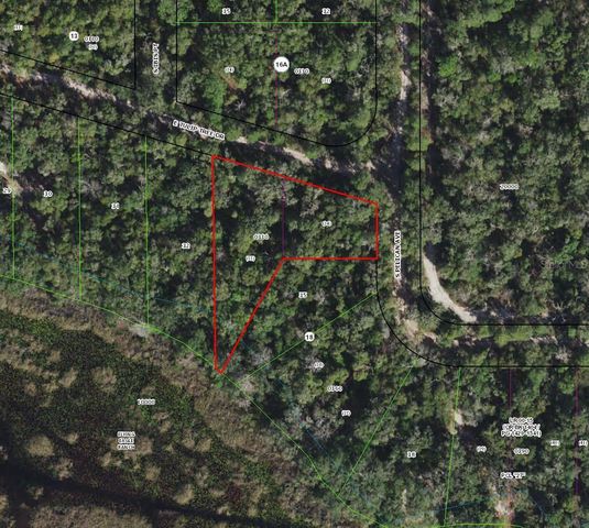 10136 E TULIPTREE DRIVE, Inverness, FL 34450