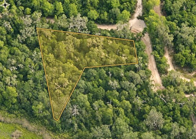 10136 E TULIPTREE DRIVE, Inverness, FL 34450