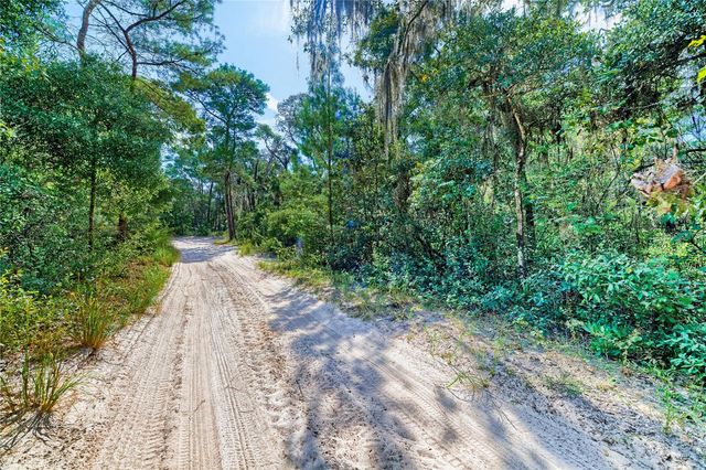 10136 E TULIPTREE DRIVE, Inverness, FL 34450