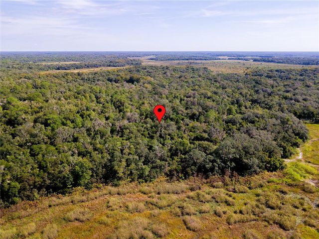 10136 E TULIPTREE DRIVE, Inverness, FL 34450