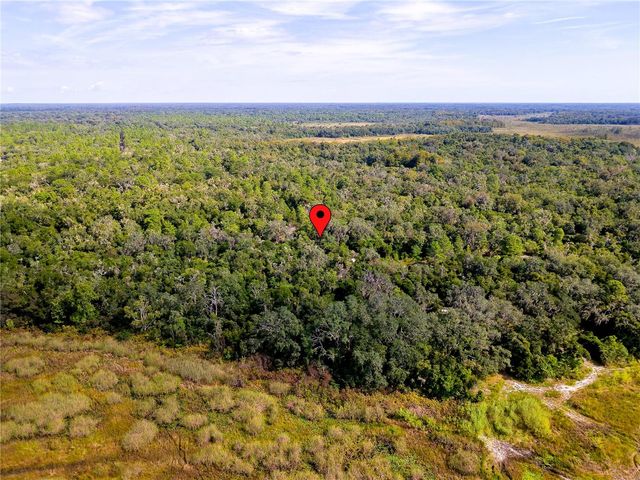 10136 E TULIPTREE DRIVE, Inverness, FL 34450