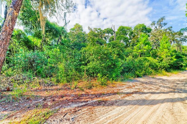 10136 E TULIPTREE DRIVE, Inverness, FL 34450
