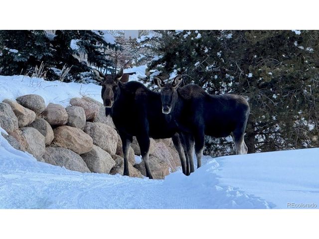 328 Raven Golf Ln, Silverthorne, CO 80498