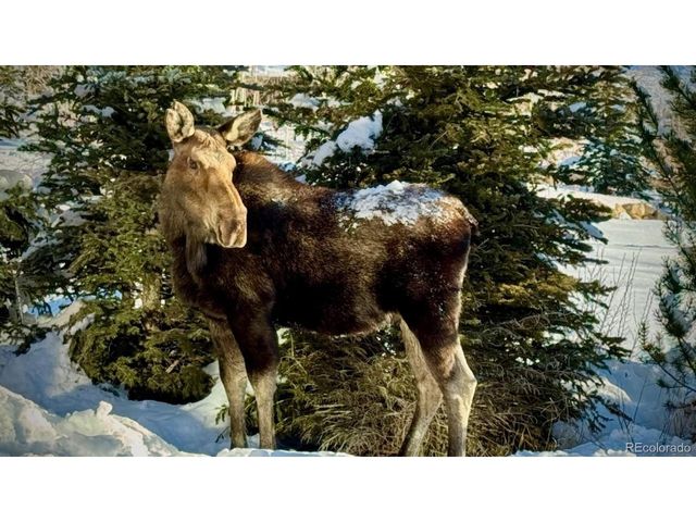 328 Raven Golf Ln, Silverthorne, CO 80498