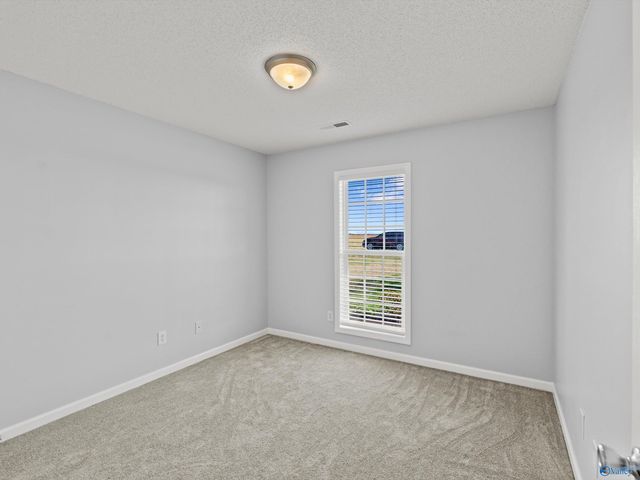 244 Welcome Home Village Road, Toney, AL 35773