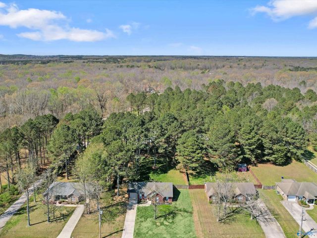 244 Welcome Home Village Road, Toney, AL 35773
