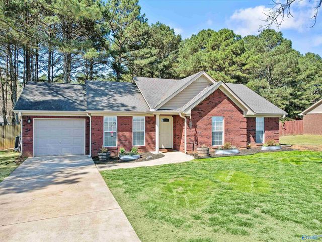 244 Welcome Home Village Road, Toney, AL 35773