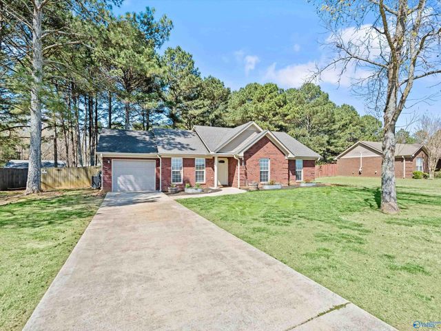 244 Welcome Home Village Road, Toney, AL 35773