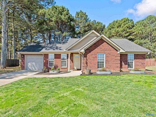 244 Welcome Home Village Road, Toney, AL 35773