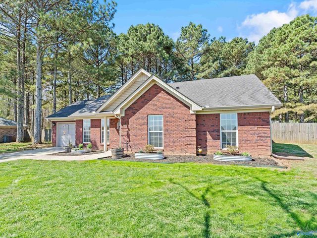 244 Welcome Home Village Road, Toney, AL 35773