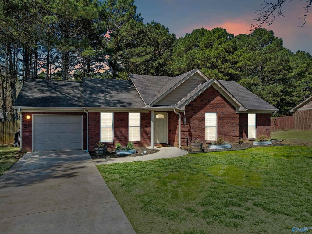 244 Welcome Home Village Road, Toney, AL 35773