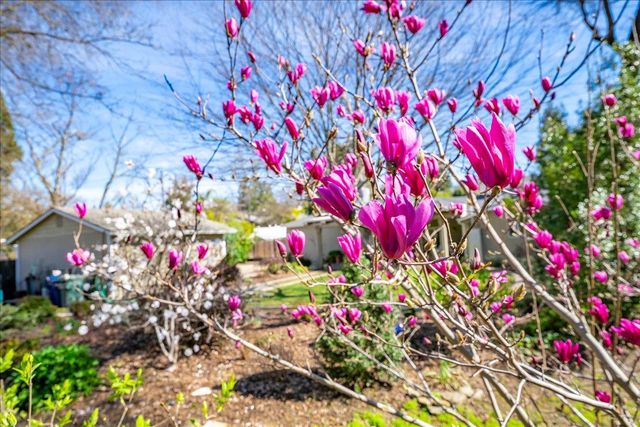 5129 Illinois Ave, Fair Oaks, CA 95628