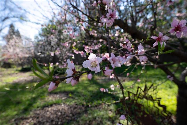 5129 Illinois Ave, Fair Oaks, CA 95628