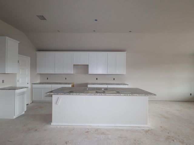 20005 Schatz WAY, Manor, TX 78653