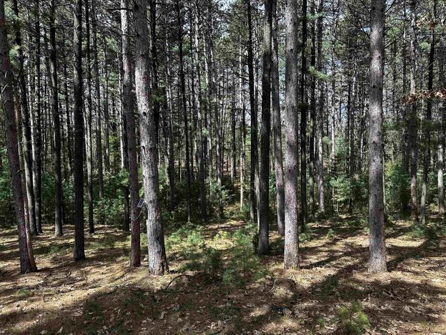 N7357 County A Road, Westfield, WI 53964