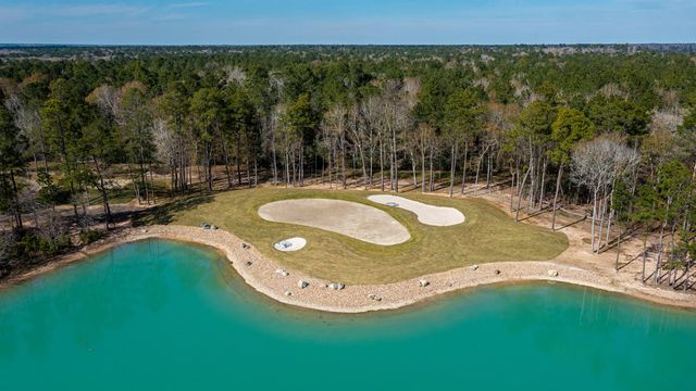 9114 Petroglyph Point Court, Porter, TX 77365