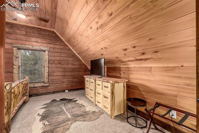 116 Dakota Path, Lake George, CO 80827