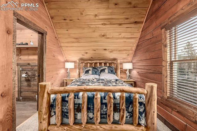 116 Dakota Path, Lake George, CO 80827