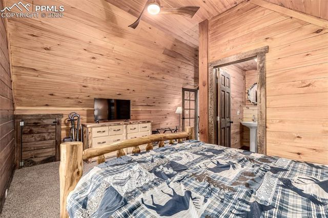 116 Dakota Path, Lake George, CO 80827