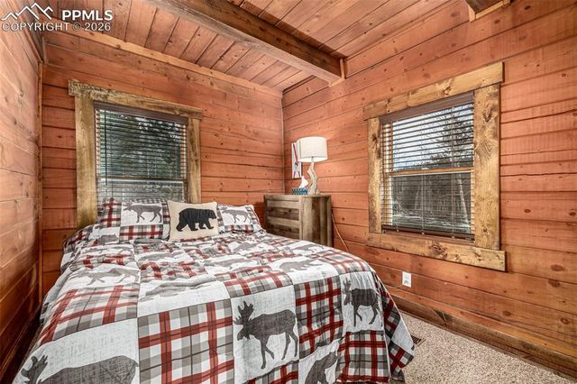 116 Dakota Path, Lake George, CO 80827